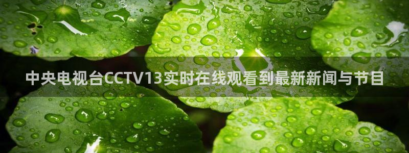看球吧中超直播：中央电视台CCTV13实时在线观看到最新新闻与节目