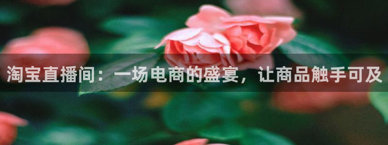 直播看球吧：淘宝直播间：一场电商的盛宴，让商品触手可及