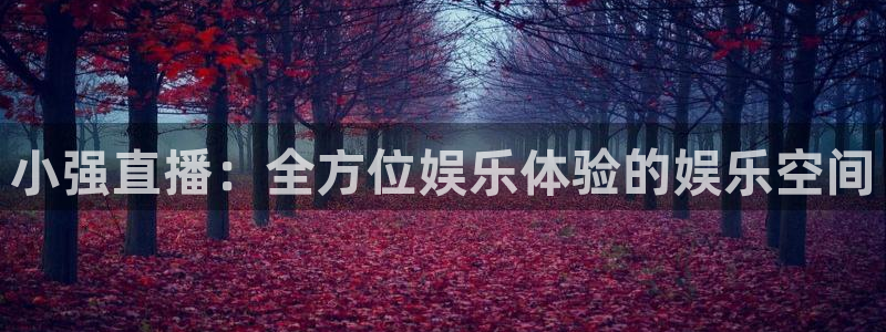 看球吧nba免费直播：小强直播：全方位娱乐体验的娱乐空间