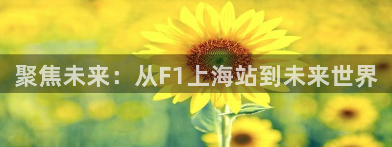 nba直播看球吧：聚焦未来：从F1上海站到未来世界