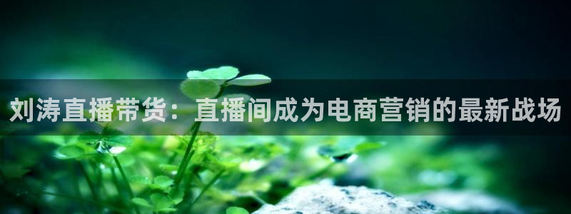 nba视频直播无插件看球吧：刘涛直播带货：直播间成为电商营销的最新战场