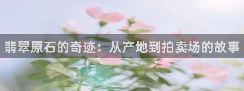 看球吧中超直播：翡翠原石的奇迹：从产地到拍卖场的故事