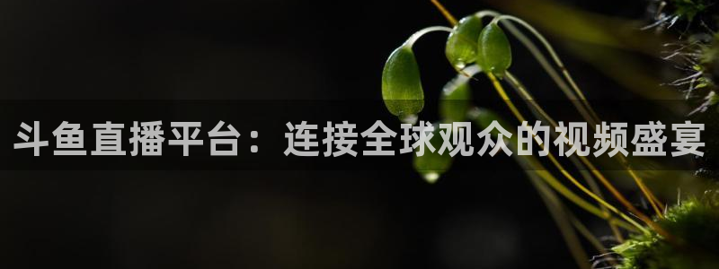 鲨鱼直播nba在线看球吧：斗鱼直播平台：连接全球观众的视频盛宴