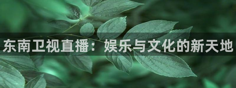jrs直播低调看球吧：东南卫视直播：娱乐与文化的新天地