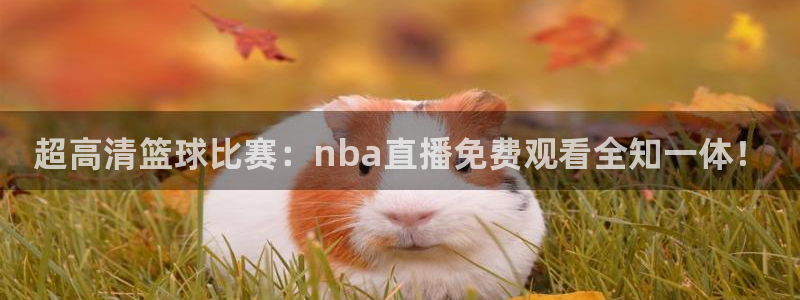 看球吧nba在线高清免费：超高清篮球比赛：nba直播免费观看全知一体！