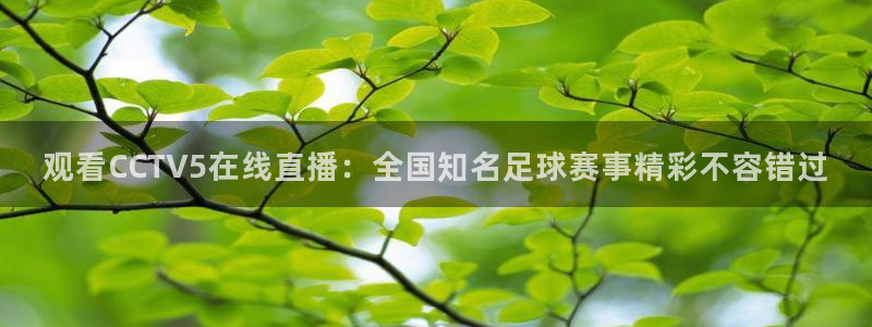 看球吧直播官网：观看CCTV5在线直播：全国知名足球赛事精彩不容错过